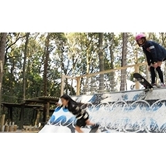 【柏しょうなんゆめファーム】手賀沼近く