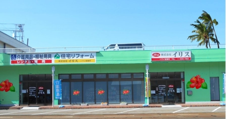 「ハワイに出店！？」