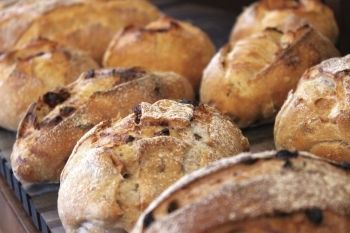 自家製レーズン酵母を使用した「カンパーニュ」「Boulangerie MUKU（ブーランジェリームク）」