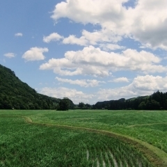 骨寺村荘園遺跡（ほねでらむらそうえんいせき）