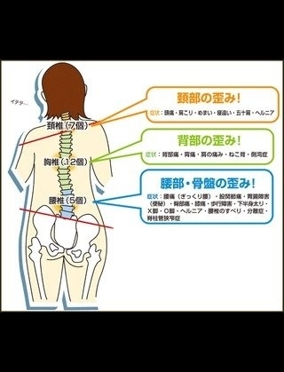 「カイロプラクティック教室開催のお知らせ(^^)」