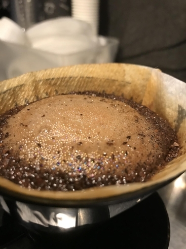 新鮮な豆は、よく膨らみます！「市川駅南口すぐ【グリーン珈琲焙煎所】まろやかでクリアな味わいの水出しコーヒー！「作りたてボトル1ℓ」、自宅で簡単に作れる「水出しアイスコーヒーパック」オススメ！」