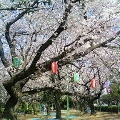 御滝公園｜船橋市