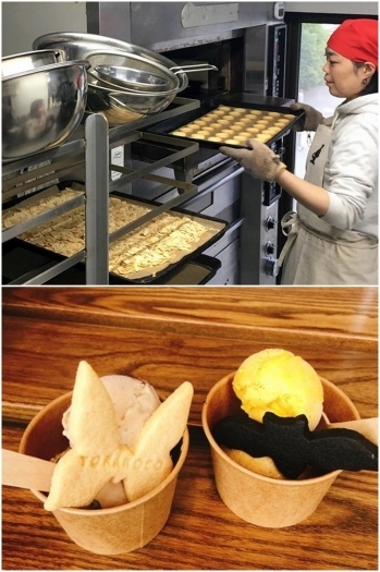 丹那の全脂粉乳を使用した塩バターサブレとアイスクリーム「トラノコ洋菓子店」