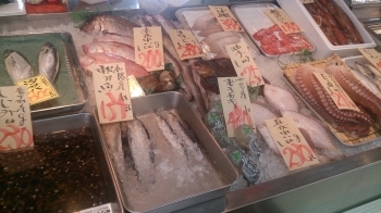 鮮度抜群の鮮魚類「カネイ池内商店」