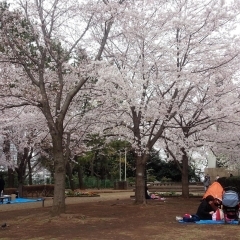 夢見ヶ崎動物公園｜幸区