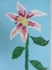image.php?id=624846&p=shopn&s=