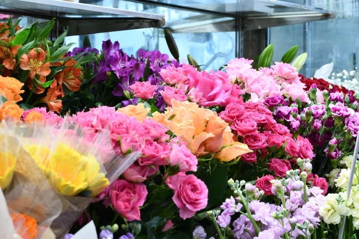 「有限会社 小樽フラワー」季節を彩り気持ちを形にする華のある生活をお届けするお花屋さん