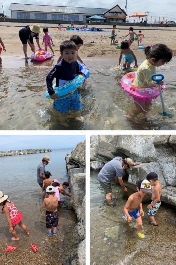 海水浴やカニ釣りはお子さんに大人気の行事です「小樽オリーブ幼稚園」