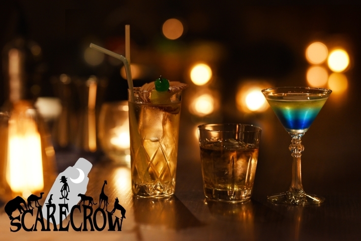 「Bar Scarecrow（スケアクロウ）」きっとBARが好きになる　千葉の初心者が安心して飲めるBAR