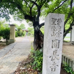 加古川・長砂の静寂に息づく祈り ―ご当地ライターまっすんが歩いた「円長寺」の時間―