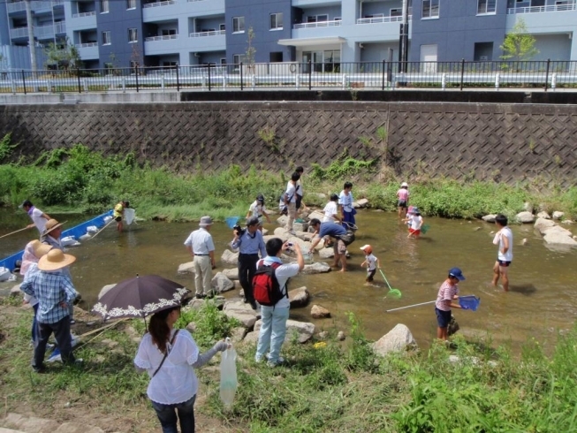 「『幸町公園水辺のつどい』に参加しませんか？？」