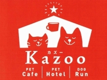 Kazoo