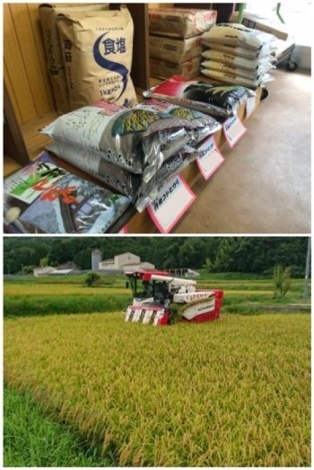 【様々な産地のお米】
【協力農家さんの田んぼ】「波多野米穀」