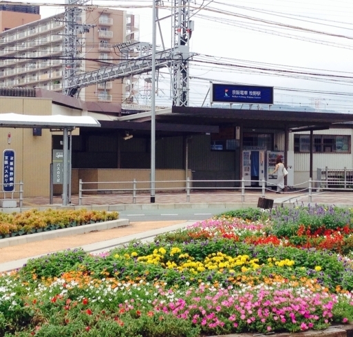 「8月16日  枚方＠京阪牧野駅前と焼肉田蔵ご紹介」