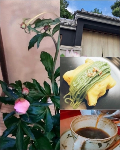 カフェタイムもどうぞ。珈琲とピスタチオのクレープ「風薫る季節、新緑がまぶしい猪名川町広根。古民家レストラン・想月の料理長が織り成すお料理をお楽しみください。」