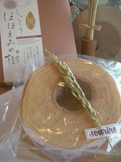 ほほえみの樹
ご進物にも最適です。1210円～「sourire（パティスリー スーリール）」