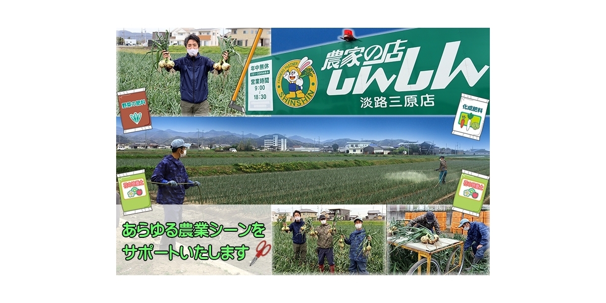 淡路島の花 ガーデニングで人気のお店 まいぷれ 淡路島