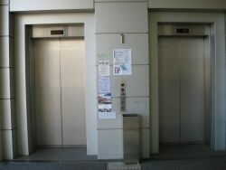 このエレベーターで５階へ・・・