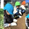 ママ・パパ必見! Mom’s sunの保育士コラム