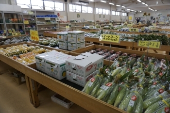 季節の旬の野菜を数多く取り揃えております！「徳島県農業協同組合 ひまわり農産市」
