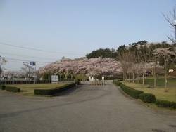 「宮野公園管理事務所」憩いの場・スポーツを通じて生活を楽しくする宮野運動公園