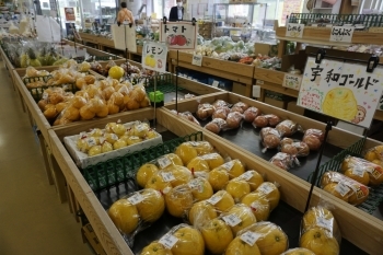 地場産品の旬の果物もイチオシです！「徳島県農業協同組合 ひまわり農産市」