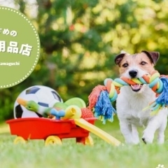 こだわりの商品が揃っています「川口のおすすめペット用品店まとめ」
