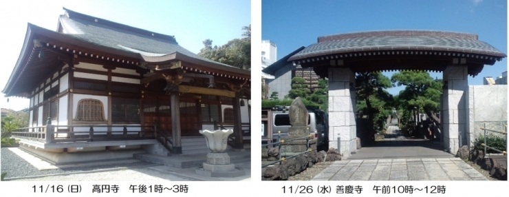 「☆11月16日(日)市川市高円寺、11月26日(水)江戸川区善慶寺にて　『無料の終活セミナ－』　を開催いたします☆」