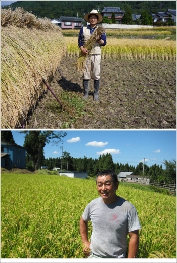 長野県無農薬栽培生産者さん（上）新潟県魚沼の生産者さん（下）「いちかわや米店」