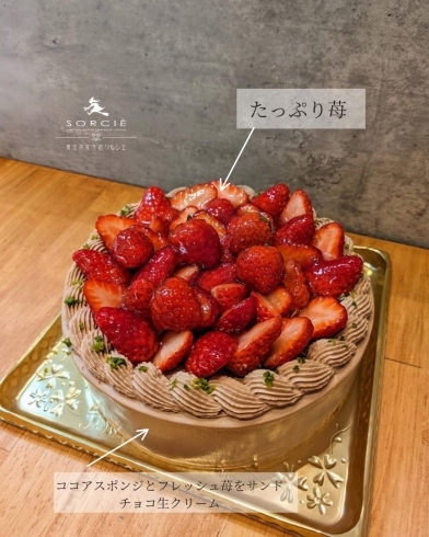 苺のショコラクリームケーキ「苺のショコラクリームケーキ🎂」