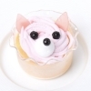 ドックプリンチワワ