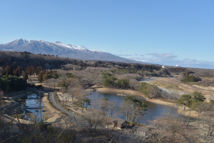 「鳥野目河川公園 オートキャンプ場」那須連山と清流那珂川を望み、老若男女に愛されるキャンプ場
