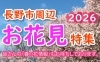 2024お花見特集