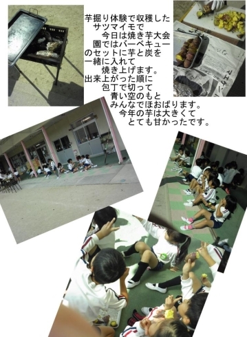 「12月の園庭開放は5日・12日・26日（3回）です。求人情報を掲載中。」