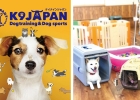 K9Japan