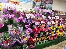 心と生活に、彩りを添える花々がございます！「華郷園」