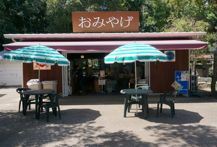 「柿田川湧水の道 みやげ館」わさび漬けはもちろん豊富な伊豆のおみやげがそろっています！