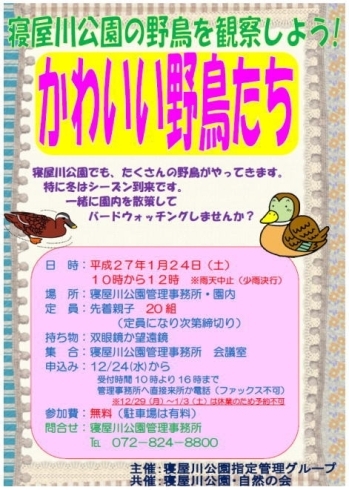 「寝屋川公園の野鳥を観察しよう！」