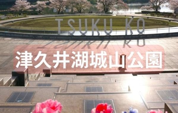 ■桜特集■【津久井湖城山公園】湖畔のベンチでのんびりお花見ができます