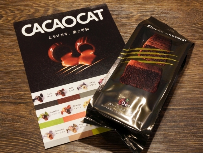 CACAOCAT Gateau Chocolat「プレミアムチョコレート【CACAOCAT】の取り扱いはじめました！」