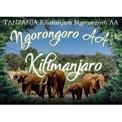 キリマンジャロ　ンゴロンゴロ｜タンザニア