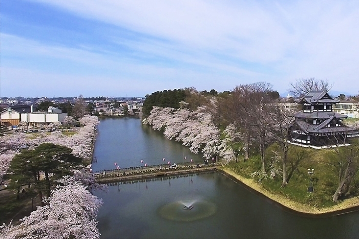 高田城址公園周辺「【ドローン空撮】華やかさを求めるなら「春」！」