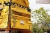 松木坂井太鼓台|大山祇神社社殿を描いた高欄幕(2)<まいぷれ新居浜・密着取材記事>