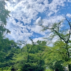 1回　調公園（つきのみやこうえん）　☆浦和☆