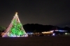 ジャンボクリスマスツリーと光の回廊