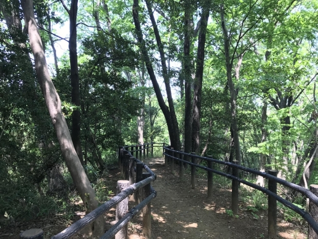 「都筑中央公園での散歩がオススメ！」