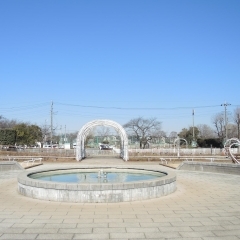 冬のバラ公園(冬のバラ、寒さしのんで、春を待つ)