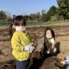 2020忠次公レキシまつり「芋ほり体験」が開催されました!