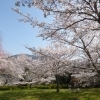 丸山公園